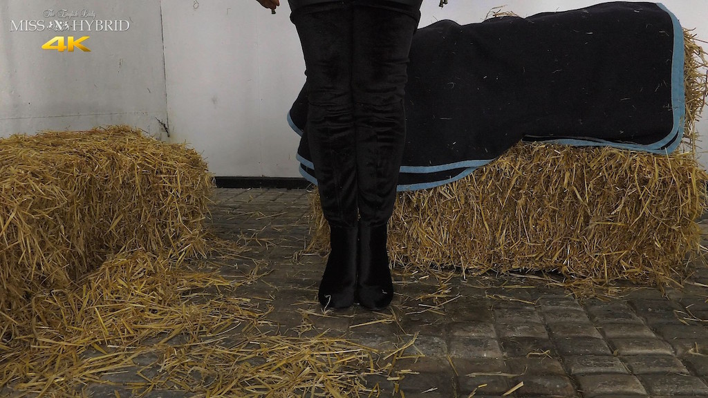 Miss Hybrid sexy boots and easy access jodhpurs.